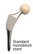 standard-monoblock-stem-img